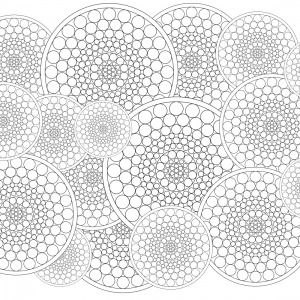 Mandala Complesso Nr. 003